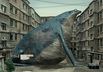 The Collective Loop #city #liu #photography #di #animal #frog
