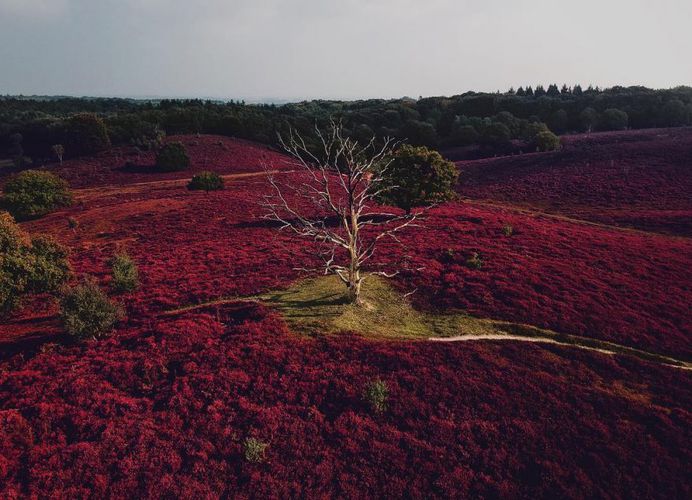Europe From Above: Stunning Drone Photography by Cuno de Bruin