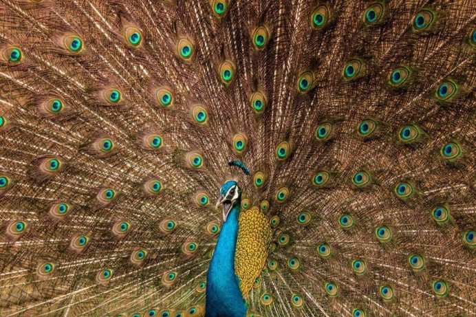 Stunning Early Highlights of The 2017 Sony World Photography Awards