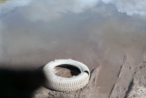 Likes | Tumblr #life #still #photography #texture