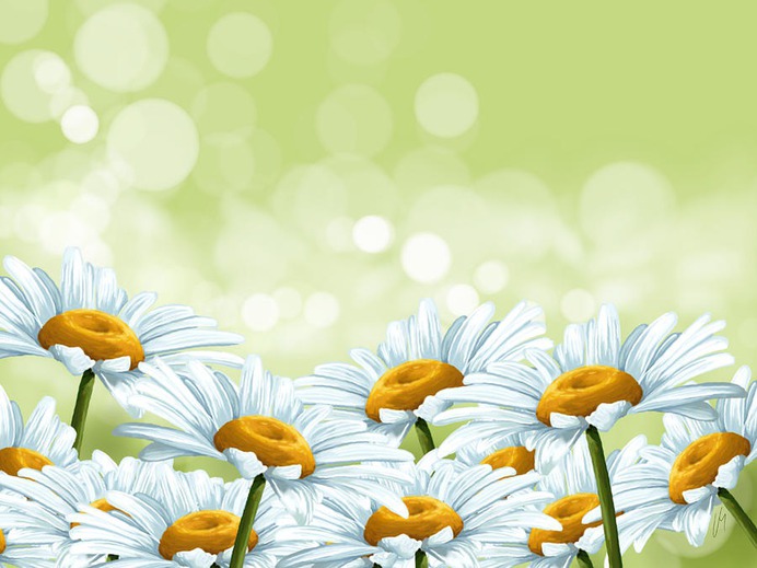 daisy painting & daisy paint by number #painting