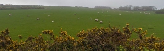 screen-shot-2012-01-04-at-2-58-09-pm.png (PNG Image, 1230x387 pixels) #of #man #sheep #isle