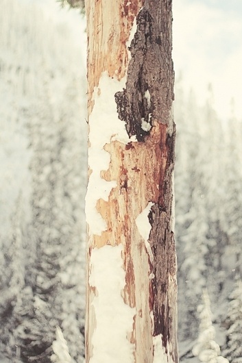 Cold Winter on Photography Served #photography