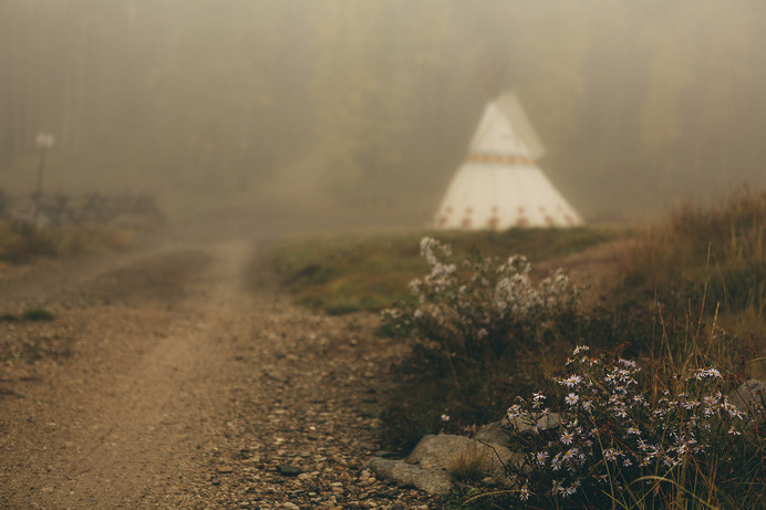 Likes | Tumblr #forest #autumn #tipi