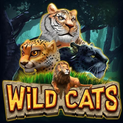 Wild Cats | Prominentt Games