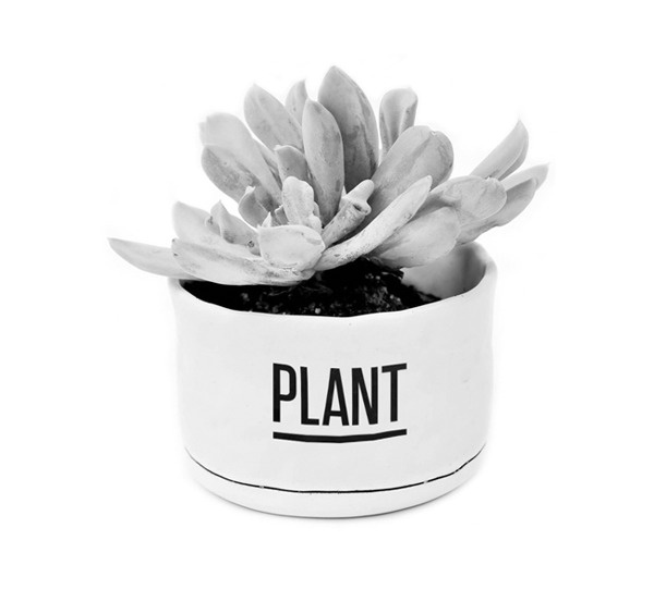 Plant. #white #black #concept #minimal #logo