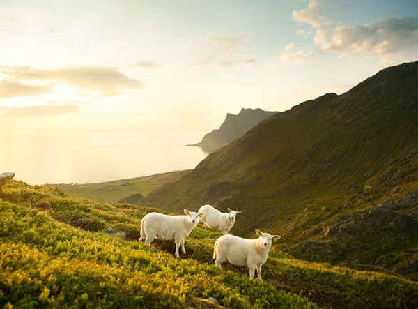Landscape Photography by Caterina Bernardi #inspiration #photography #landscape