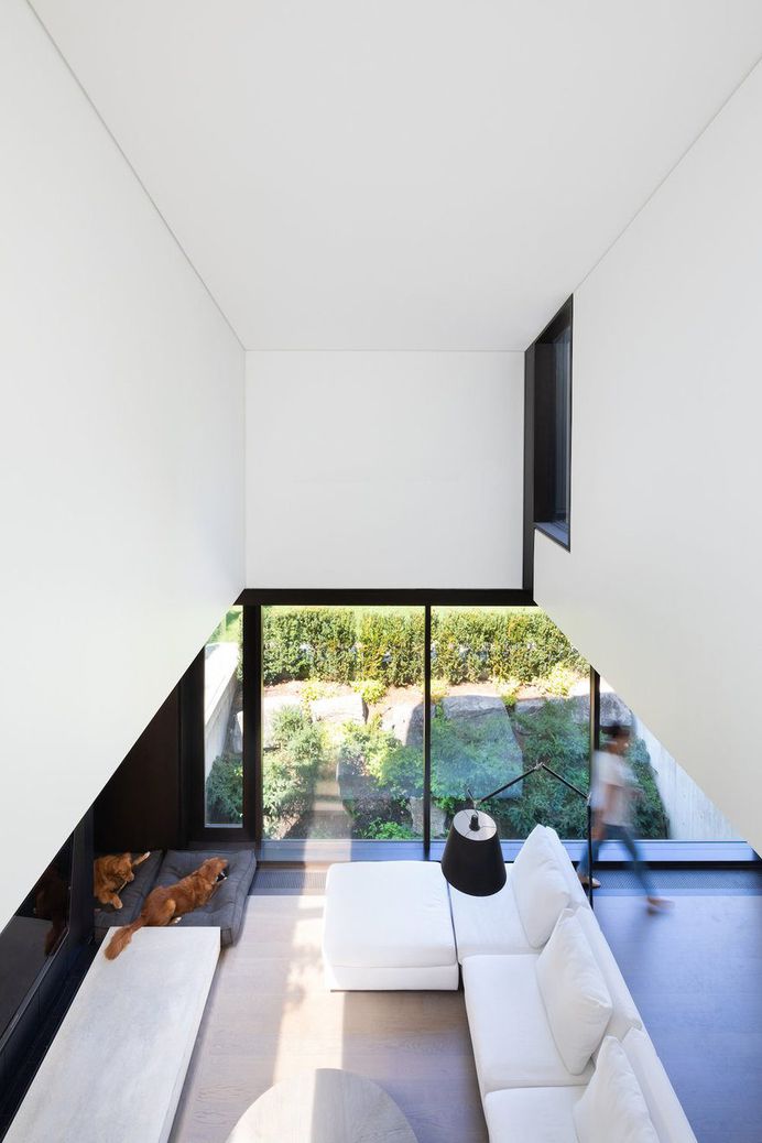 Lui House, D'Arcy Jones Architecture 10
