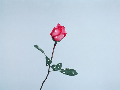 Ina Jang | PICDIT #photo #photography #design