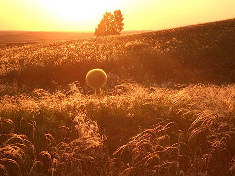 Проснись, #photography