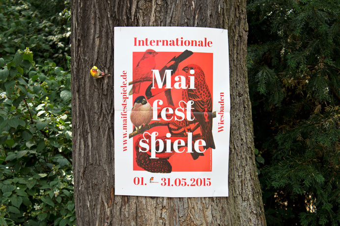 #mayfest #theatre #opera #editorial #typo #collage #bird #frame #birds