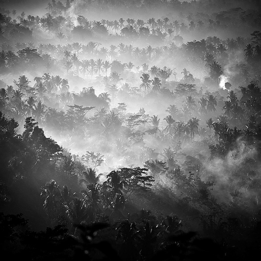 Play Misty for Me on Photography Served #photography