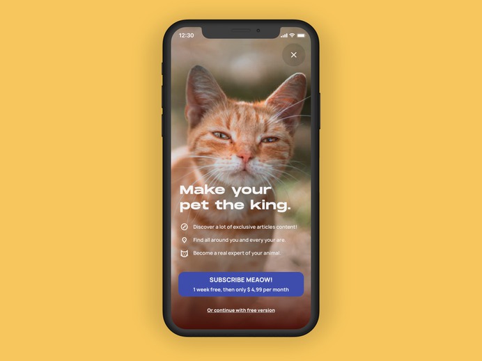 paywall-dribbble.png