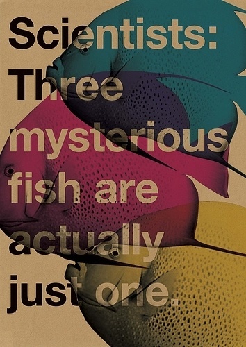 All sizes | poster (2009) | Flickr - Photo Sharing! #design #graphic #fish