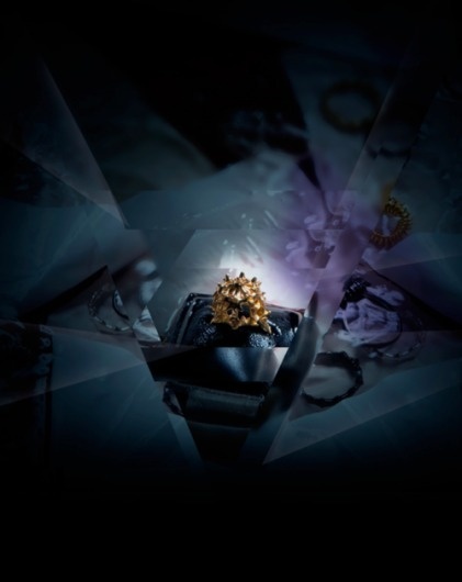 SMITH/GREY #radiolaria #stephoidea #smithgrey #jewellery #jewelry #gold #ring