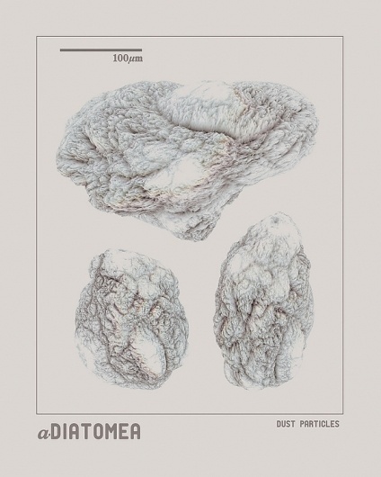 aDiatomea: Digitally Engineered Living Systems on the Behance Network #diatomea #small #poster #dust
