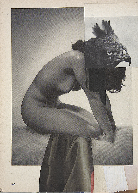 nuncalosabre. Collages | ©Charles Wilkin #juxtaposition #nude #illustration #strange #eagle #art #odd #collage #weird