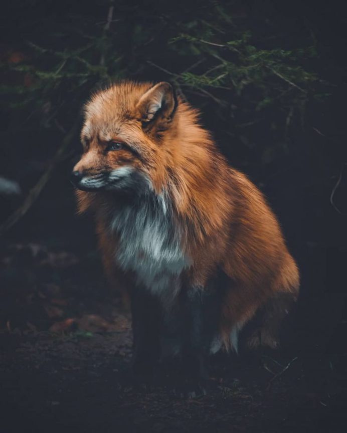 Stunning Moody Adventure Photography by Marcel Siebert
