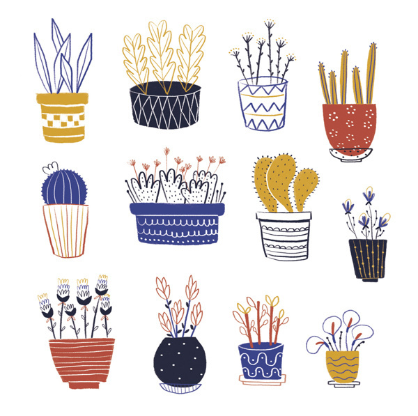 My plants on Behance #illustration #plants