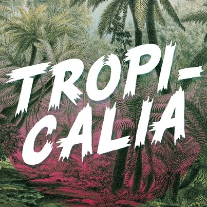 Tropicalia #font #palm #tropical #flyer #tropicalia #nature #brush #music #psychedelic