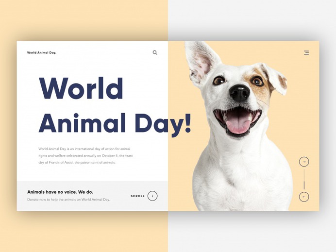 🐶 World Animal Day