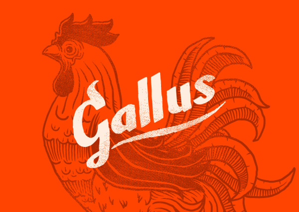 Monodois | Logofolio 2012/2013 on Behance #logotype #branding #lettering #rustic #restaurant #rooster #buffalo wings #fried chicken