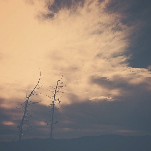 B3PO | Untitled #b3po #instagram #photography #landscapes #nature