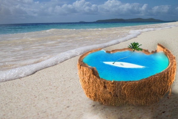 island coconut #island #beach #coconut