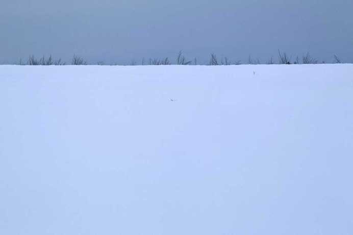 Light Frost by Francine Fleischer #inspiration #minimalist #photography