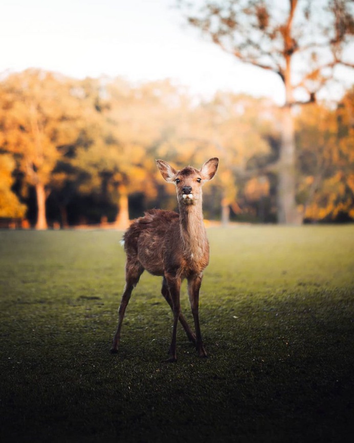 Stunning Travel and Adventure Photography by Keenan Lam