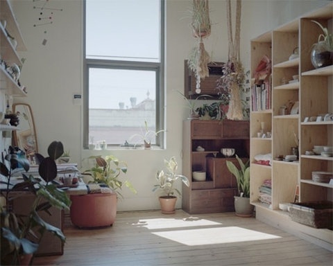 FFFFOUND! | ~>O<~ #plants