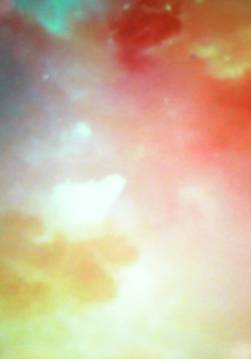 http://lloydstevie.com/files/gimgs/th 19_63_julietee 49.jpg #photography