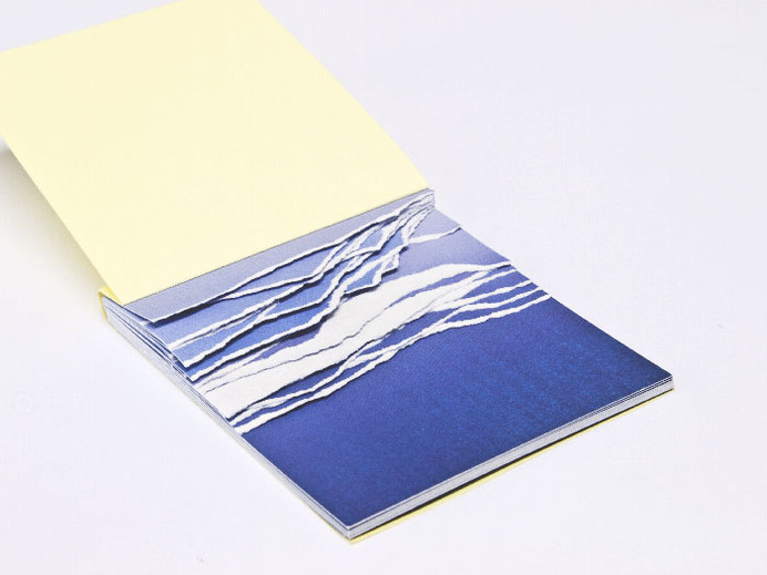 Maxime Gambus #blue #livre #art