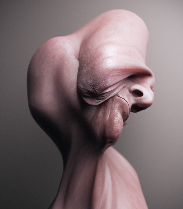 Bone Structure II