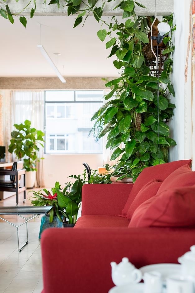 Stylish Brazilian Flat