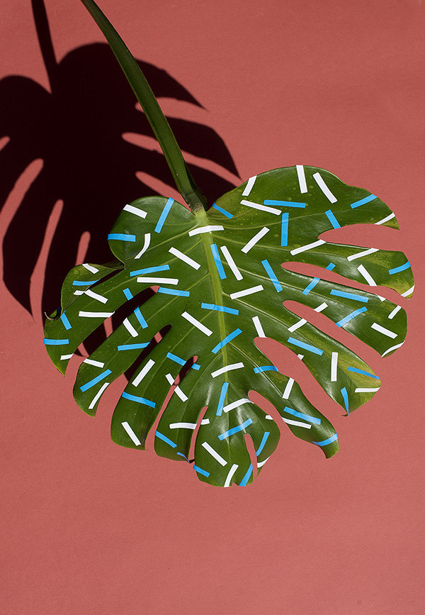 Sarah Illenberger | PICDIT