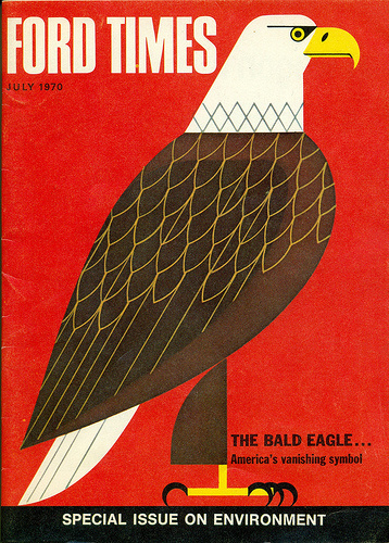 www.typetoy.tumblr.com #illustration #eagle