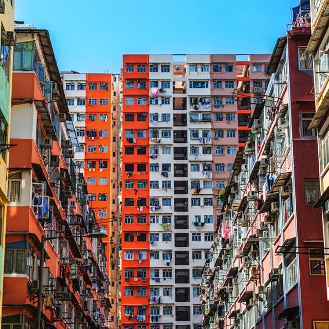 Hong Kong buildings have their own lives 🏦 ! #Hongkong #HK #Building #Shades #Multicolor #Colorful #Nuance #realimage #social #brandi