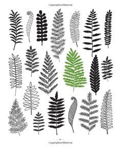 20 Ways to Draw a Tree and 44 Other Nifty Things from Nature: A Sketchbook for Artists, Designers, and Doodlers: Eloise Renouf: 978159253837...