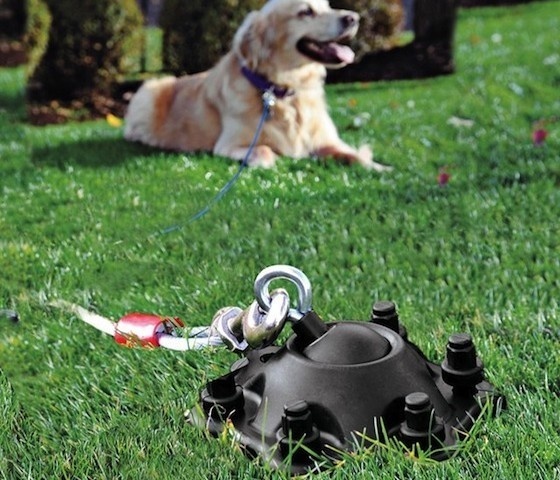 Sureswivel Pet Tie-Out #pet #gadget #home