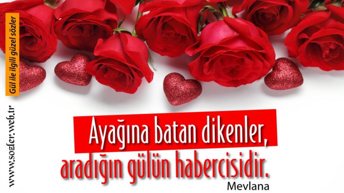 Mevlana sözleri: Kısa Mevlana sözleri ve anlamları (Resimli Hz. Mevlana sözleri)