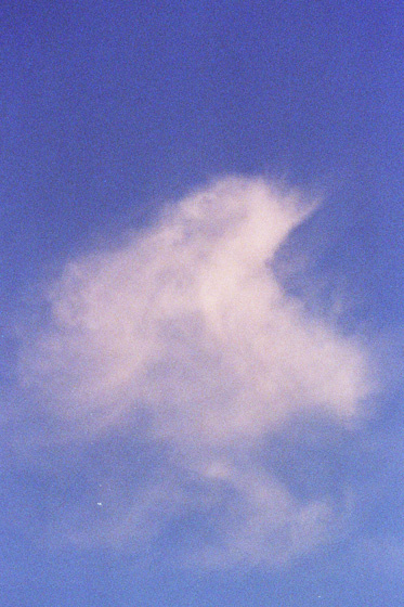 #cloud