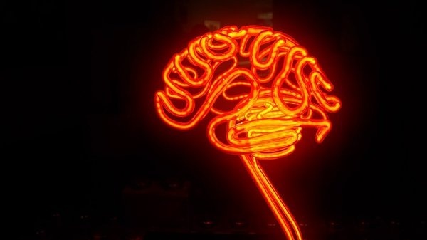 Neon Brain #hersenen #inspiratie
