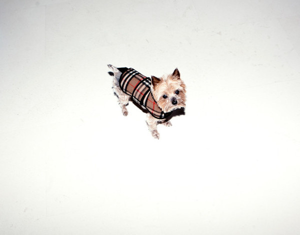 Photography by James Rajotte #inspration #photography #art