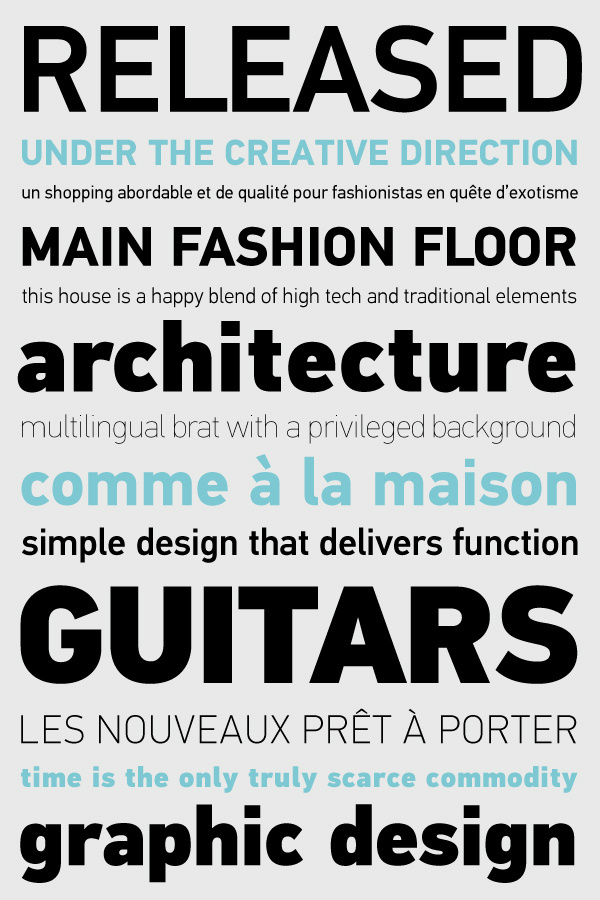 PF Din Text Pro on Behance #fonts #specimen #foundry #parachute #typography