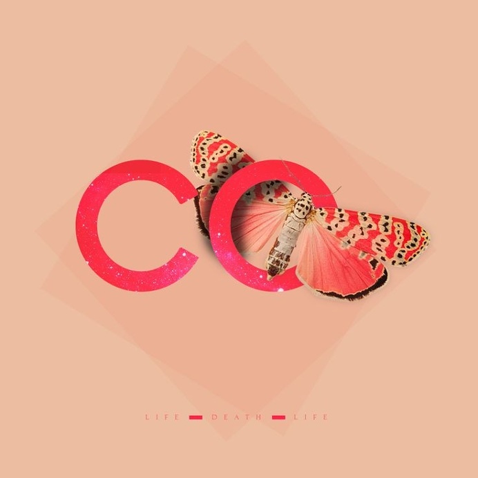 Design Experiment