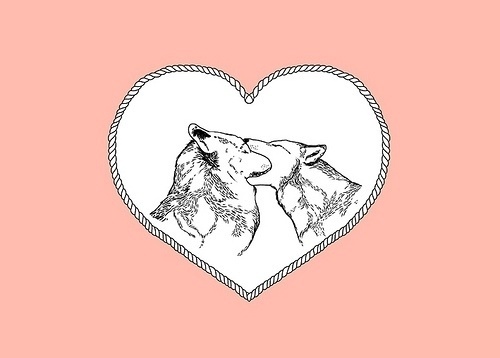 coqueterías - (via misswallflower) #pink #illustration