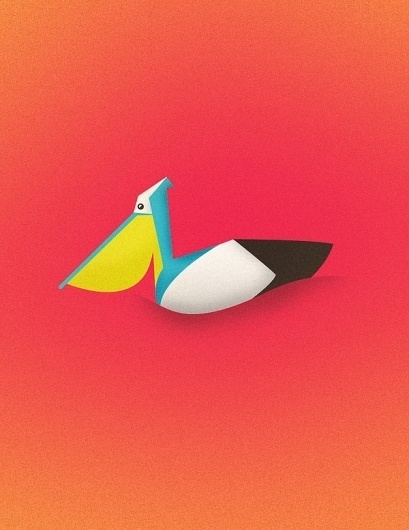 More Illustrations on the Behance Network #florida #illustration #pelican #bird
