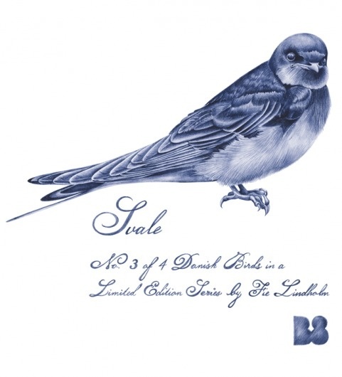 Svale_blaa.png 660×726 pixels #fie #danish #bird #lindholm #swallow #birds #svale