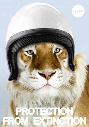 Conservation on the Behance Network #finnbogi #conservation #tiger #animals